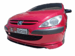 Peugeot 307 2001-2005 Makyajsız Kasa Ön Tampon Eki Boyasız - Görsel 2